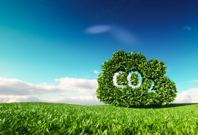 Certificación carbono neutralidad 2