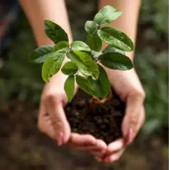 Home-SDI-Consulting-06-10-2025_09_50_AM.webp