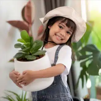 Home-SDI-Consulting-06-10-2025_09_52_AM.webp